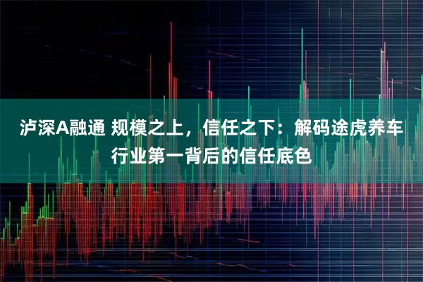 泸深A融通 规模之上，信任之下：解码途虎养车行业第一背后的信任底色