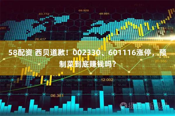 58配资 西贝道歉！002330、601116涨停，预制菜到底赚钱吗？
