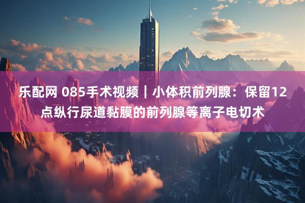 乐配网 085手术视频｜小体积前列腺：保留12点纵行尿道黏膜的前列腺等离子电切术