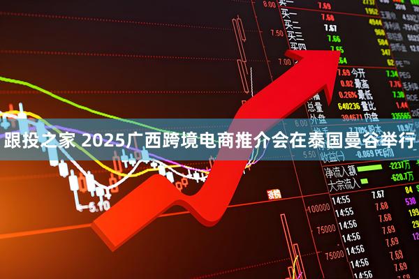 跟投之家 2025广西跨境电商推介会在泰国曼谷举行