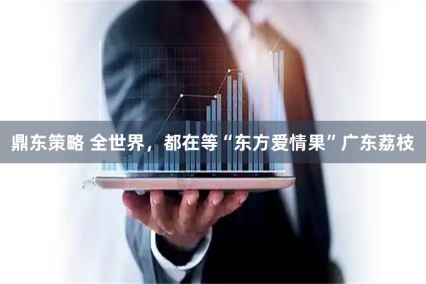 鼎东策略 全世界，都在等“东方爱情果”广东荔枝