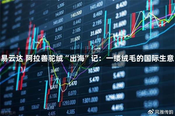 易云达 阿拉善驼绒“出海”记：一缕绒毛的国际生意