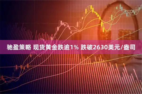 驰盈策略 现货黄金跌逾1% 跌破2630美元/盎司