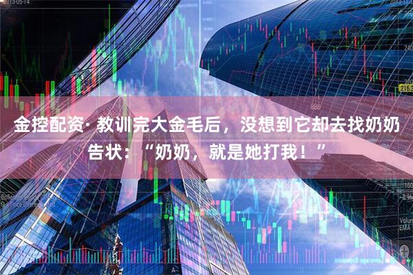 金控配资· 教训完大金毛后,没想到它却去找奶奶告状:“奶奶,就是她打我!”