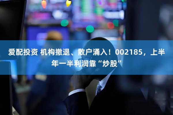 爱配投资 机构撤退、散户涌入！002185，上半年一半利润靠“炒股”